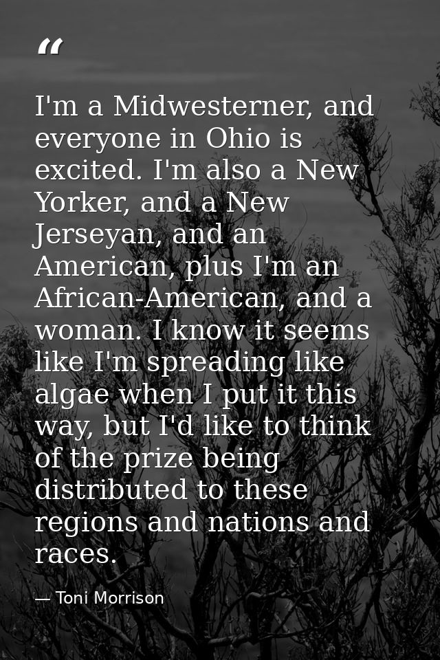 I'm a Midwesterner, and everyone in Ohio is excited. I'm also a New Yorker, and a New Jerseyan, and an American, plus I' — Toni Morrison
