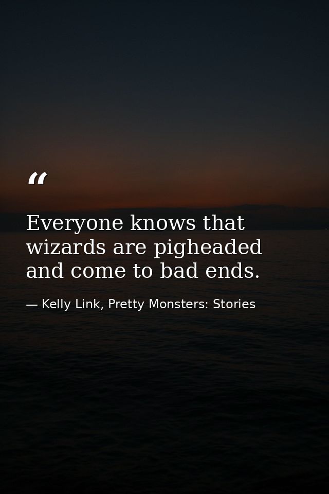 Everyone knows that wizards are pigheaded and come to bad ends. — Kelly Link, Pretty Monsters: Stories