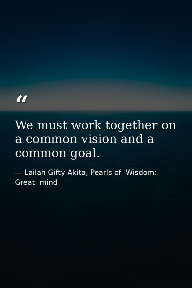 We must work together on a common vision and a common goal. — Lailah Gifty Akita, Pearls of  Wisdom: Great  mind