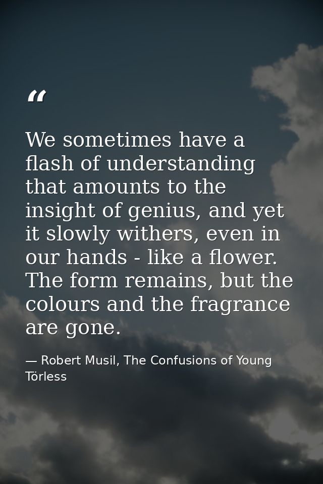 We sometimes have a flash of understanding that amounts to the insight of genius, and yet it slowly withers, even in our — Robert Musil, The Confusions of Young Törless