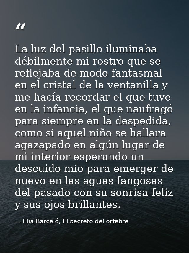 La luz del pasillo iluminaba débilmente mi rostro que se reflejaba de modo fantasmal en el cristal de la ventanilla y me — Elia Barceló, El secreto del orfebre