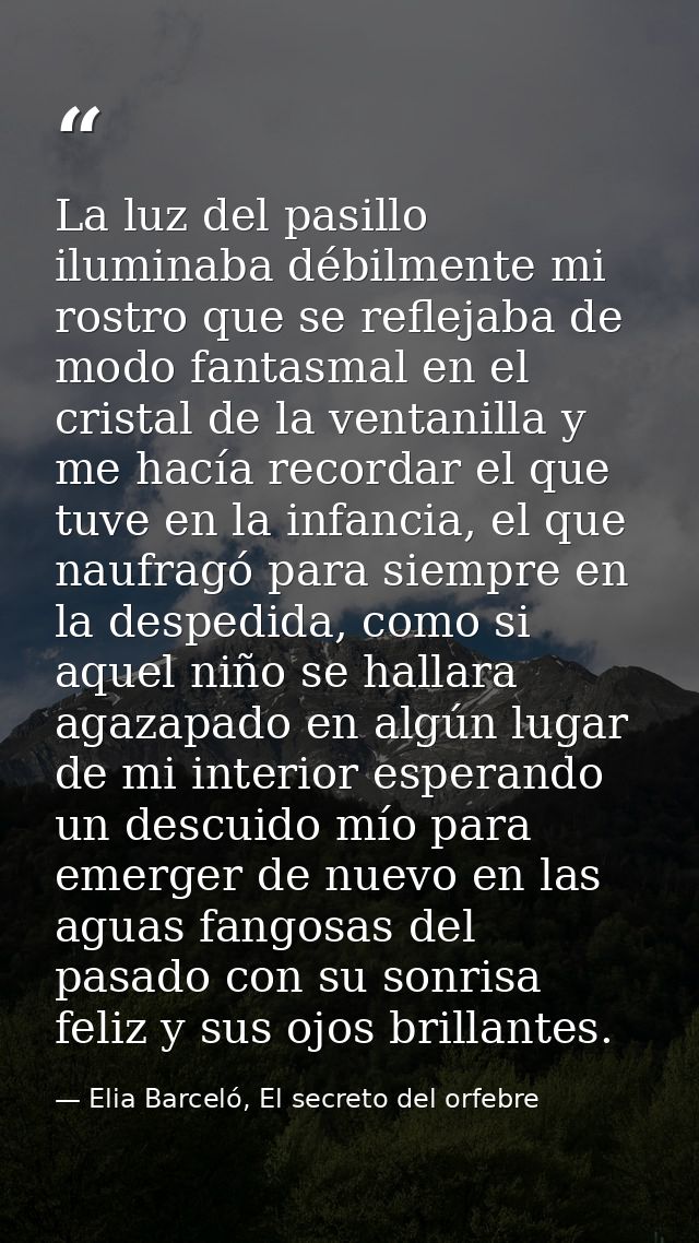 La luz del pasillo iluminaba débilmente mi rostro que se reflejaba de modo fantasmal en el cristal de la ventanilla y me — Elia Barceló, El secreto del orfebre