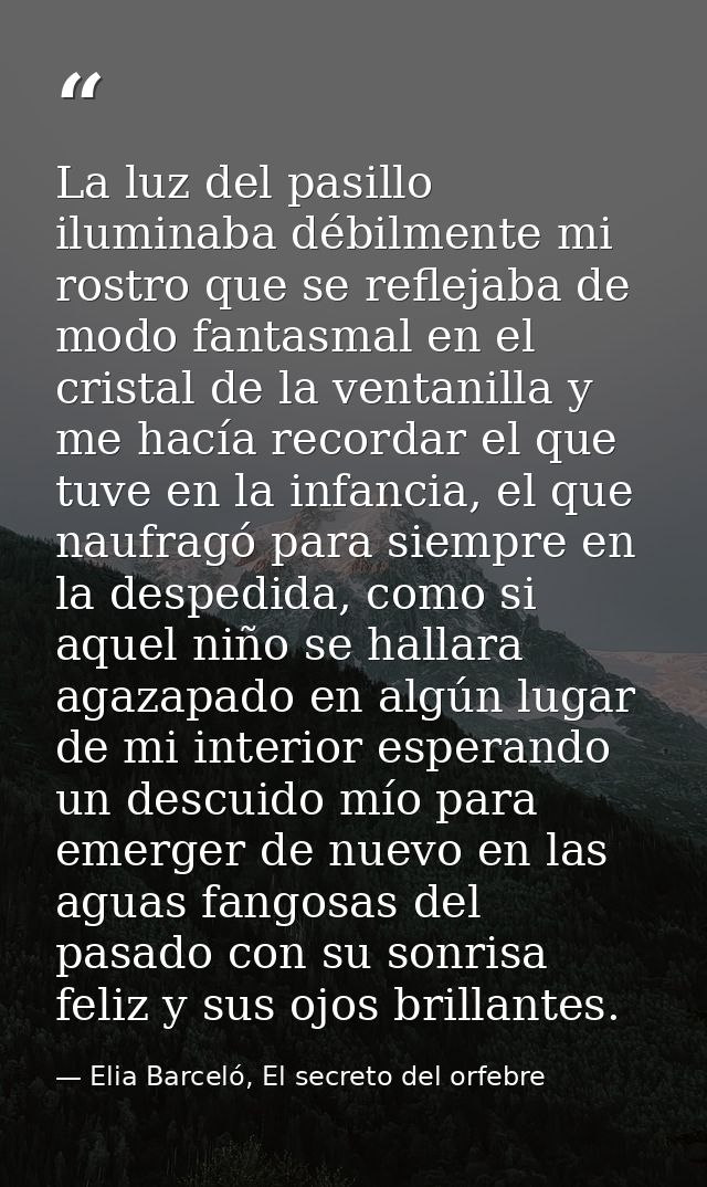 La luz del pasillo iluminaba débilmente mi rostro que se reflejaba de modo fantasmal en el cristal de la ventanilla y me — Elia Barceló, El secreto del orfebre
