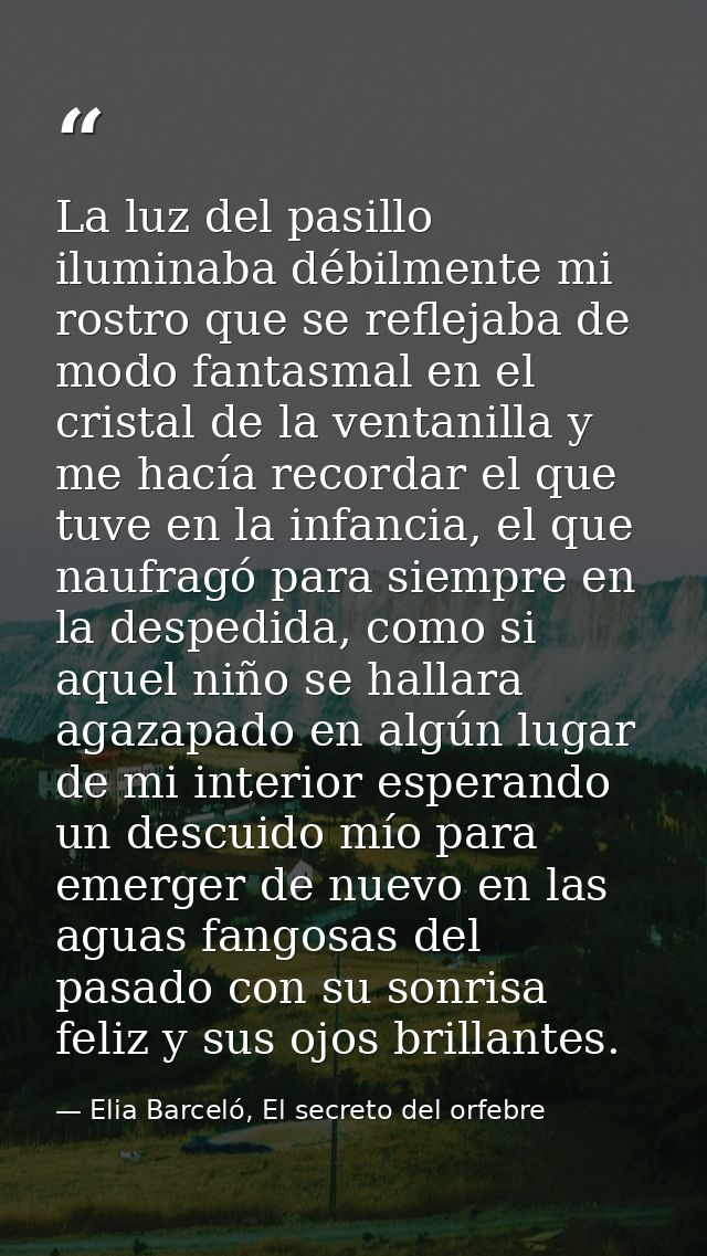 La luz del pasillo iluminaba débilmente mi rostro que se reflejaba de modo fantasmal en el cristal de la ventanilla y me — Elia Barceló, El secreto del orfebre