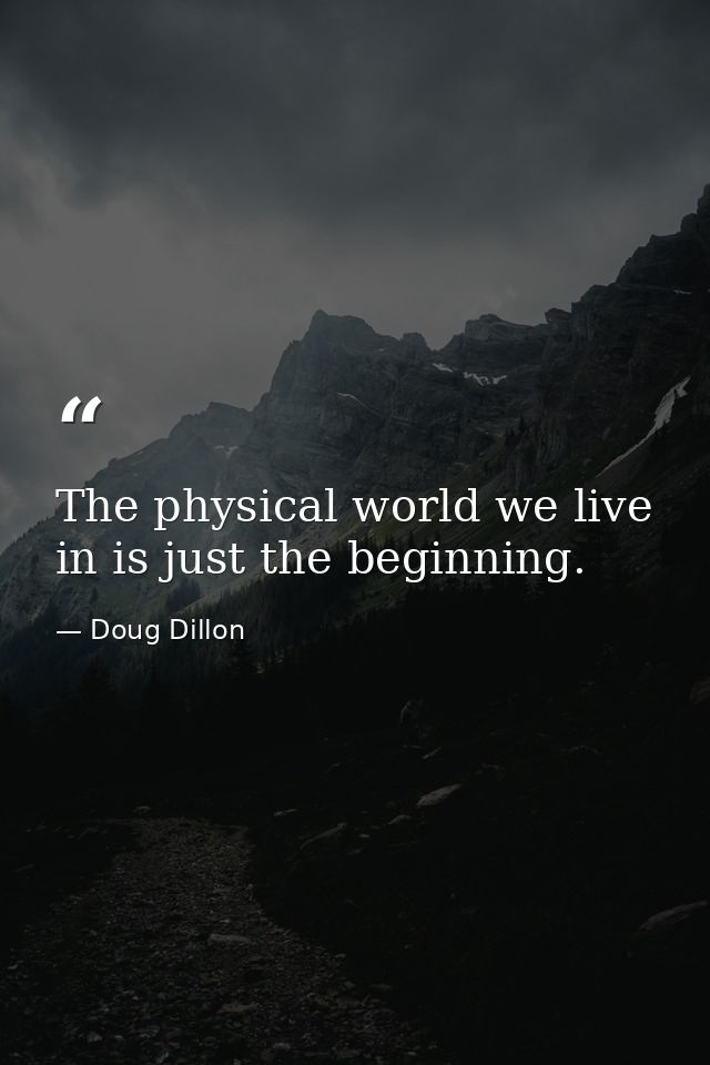 The physical world we live in is just the beginning. — Doug Dillon