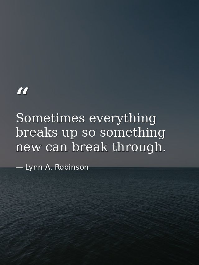 Sometimes everything breaks up so something new can break through. — Lynn A. Robinson