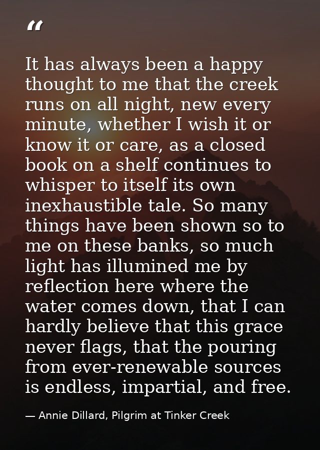 It has always been a happy thought to me that the creek runs on all night, new every minute, whether I wish it or know i — Annie Dillard, Pilgrim at Tinker Creek