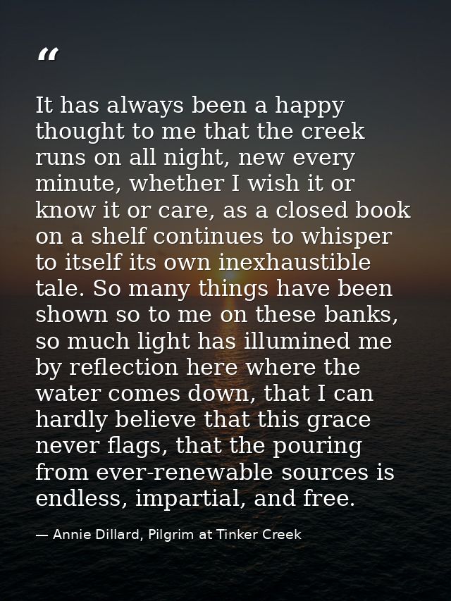 It has always been a happy thought to me that the creek runs on all night, new every minute, whether I wish it or know i — Annie Dillard, Pilgrim at Tinker Creek
