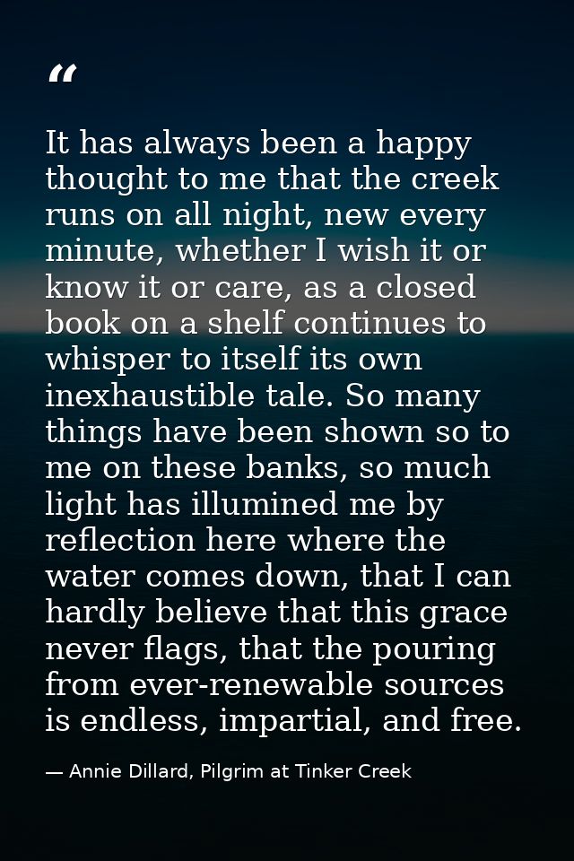 It has always been a happy thought to me that the creek runs on all night, new every minute, whether I wish it or know i — Annie Dillard, Pilgrim at Tinker Creek
