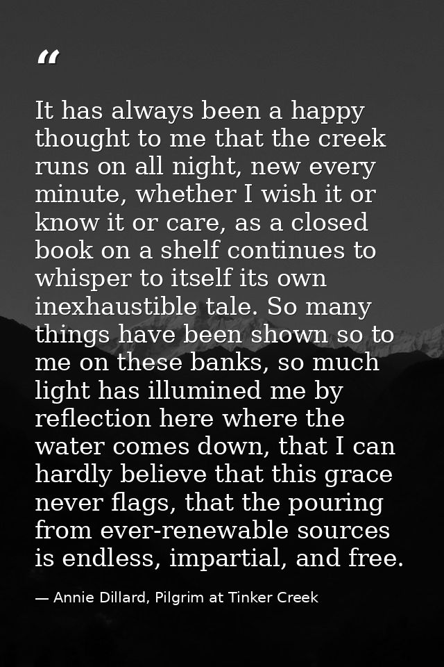 It has always been a happy thought to me that the creek runs on all night, new every minute, whether I wish it or know i — Annie Dillard, Pilgrim at Tinker Creek