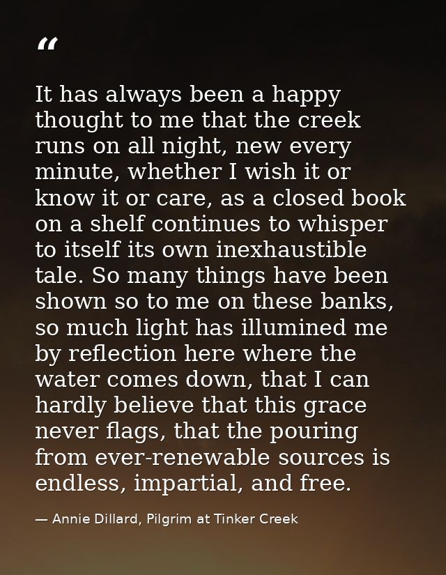 It has always been a happy thought to me that the creek runs on all night, new every minute, whether I wish it or know i — Annie Dillard, Pilgrim at Tinker Creek