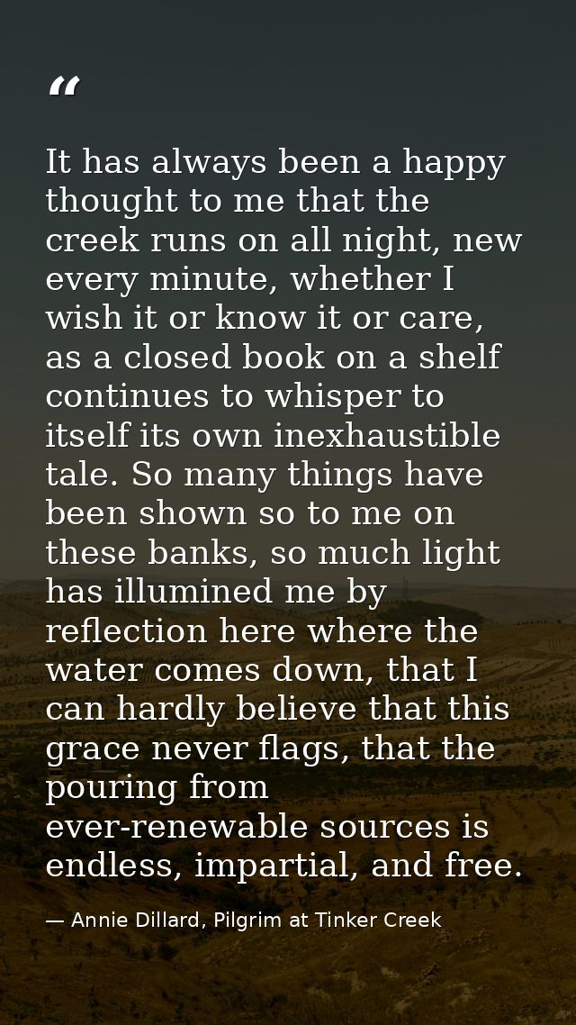 It has always been a happy thought to me that the creek runs on all night, new every minute, whether I wish it or know i — Annie Dillard, Pilgrim at Tinker Creek