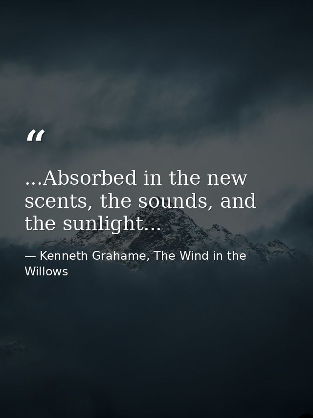 ...Absorbed in the new scents, the sounds, and the sunlight... — Kenneth Grahame, The Wind in the Willows