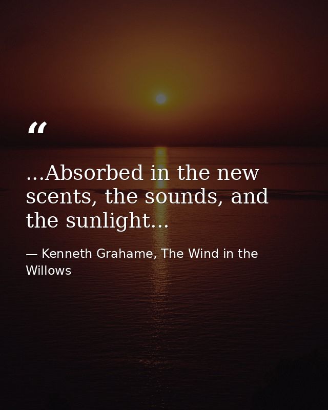 ...Absorbed in the new scents, the sounds, and the sunlight... — Kenneth Grahame, The Wind in the Willows