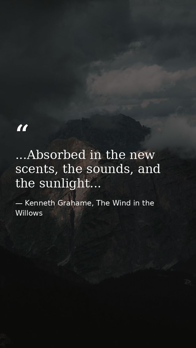 ...Absorbed in the new scents, the sounds, and the sunlight... — Kenneth Grahame, The Wind in the Willows