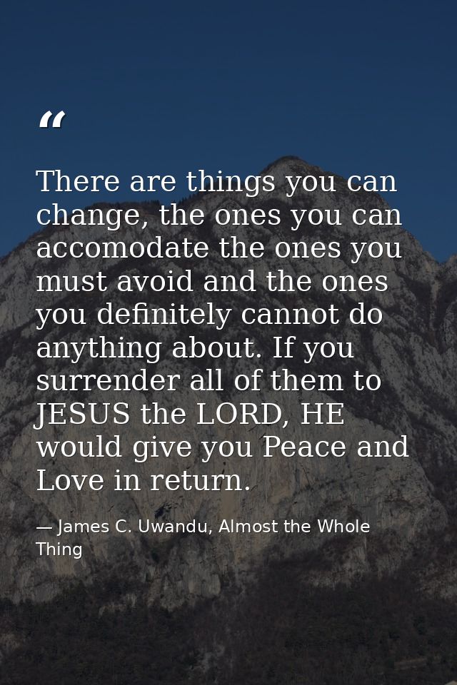 There are things you can change, the ones you can accomodate the ones you must avoid and the ones you definitely cannot  — James C. Uwandu, Almost the Whole Thing