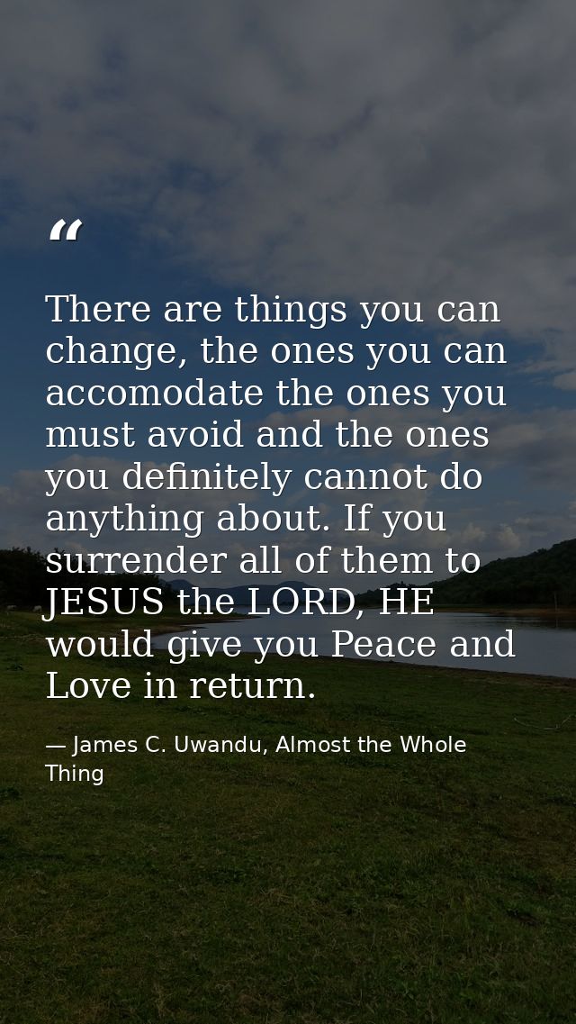 There are things you can change, the ones you can accomodate the ones you must avoid and the ones you definitely cannot  — James C. Uwandu, Almost the Whole Thing