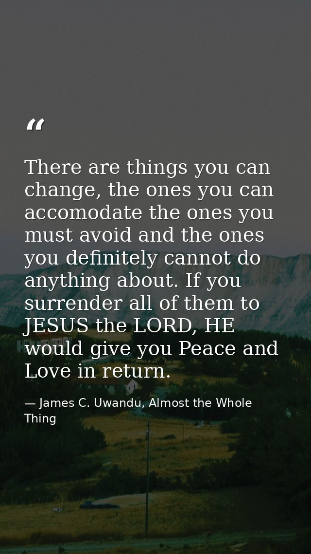 There are things you can change, the ones you can accomodate the ones you must avoid and the ones you definitely cannot  — James C. Uwandu, Almost the Whole Thing