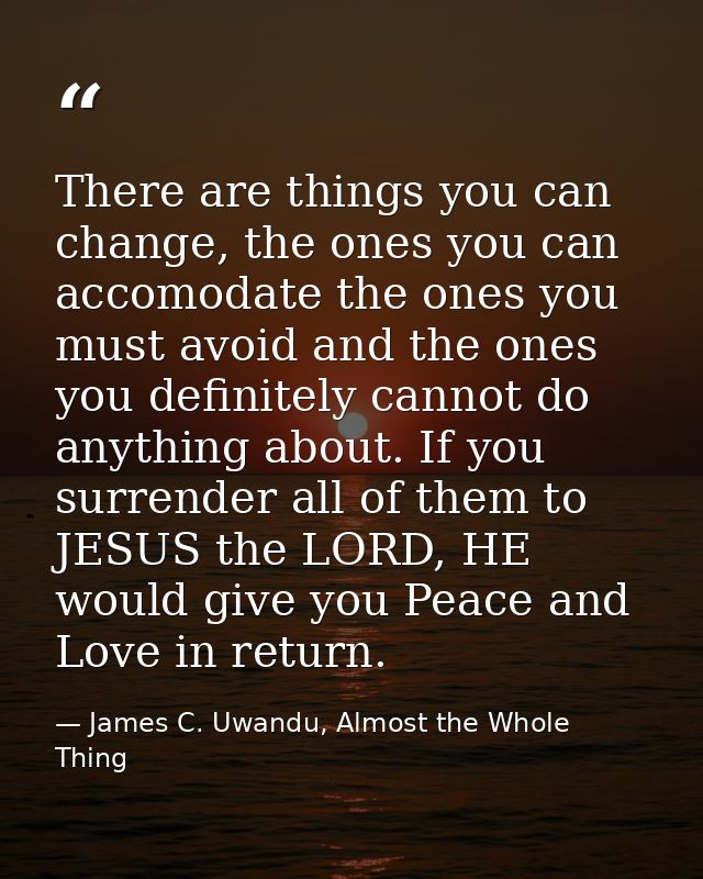 There are things you can change, the ones you can accomodate the ones you must avoid and the ones you definitely cannot  — James C. Uwandu, Almost the Whole Thing