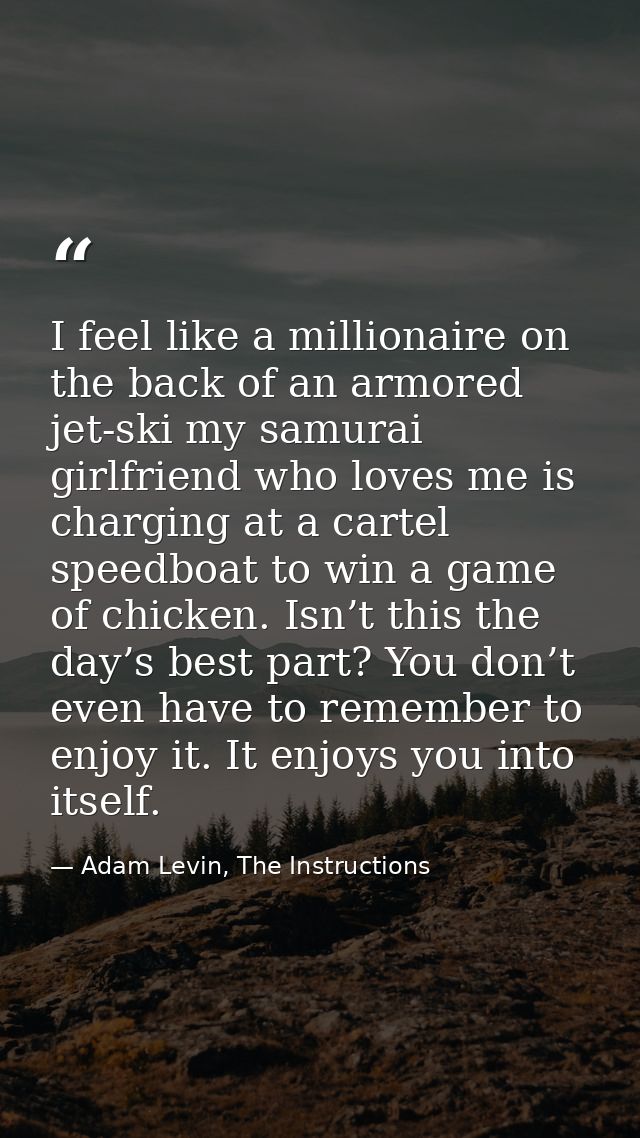 I feel like a millionaire on the back of an armored jet-ski my samurai girlfriend who loves me is charging at a cartel s — Adam Levin, The Instructions