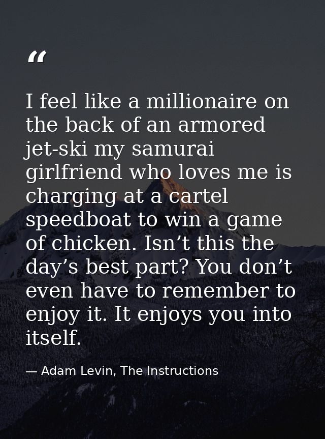 I feel like a millionaire on the back of an armored jet-ski my samurai girlfriend who loves me is charging at a cartel s — Adam Levin, The Instructions