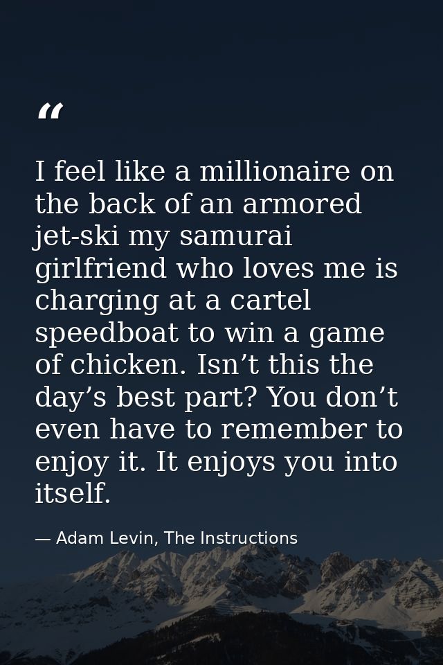 I feel like a millionaire on the back of an armored jet-ski my samurai girlfriend who loves me is charging at a cartel s — Adam Levin, The Instructions