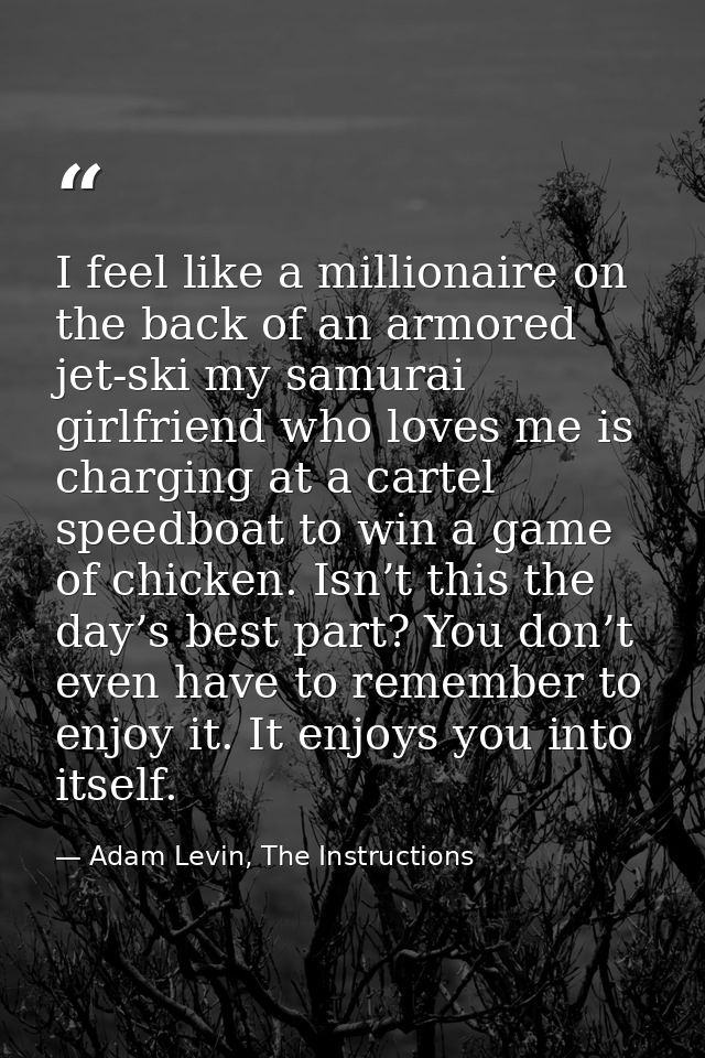 I feel like a millionaire on the back of an armored jet-ski my samurai girlfriend who loves me is charging at a cartel s — Adam Levin, The Instructions