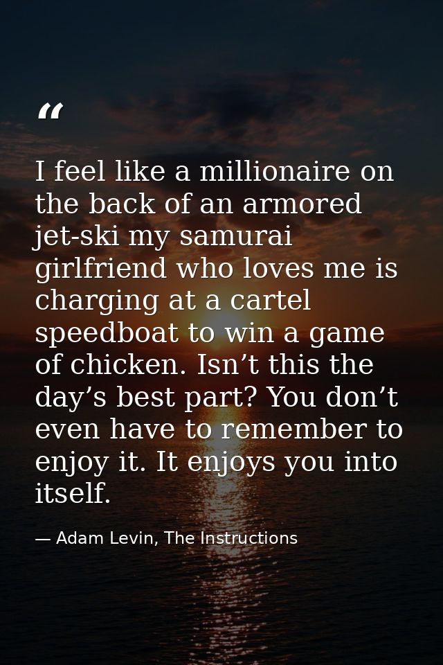 I feel like a millionaire on the back of an armored jet-ski my samurai girlfriend who loves me is charging at a cartel s — Adam Levin, The Instructions