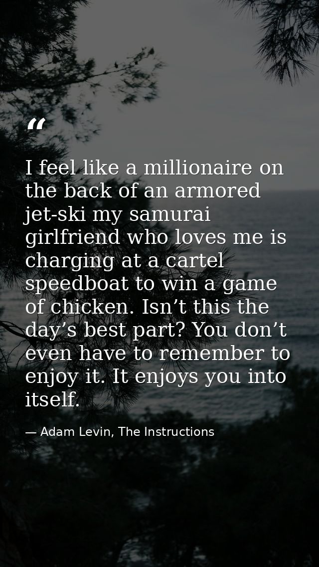 I feel like a millionaire on the back of an armored jet-ski my samurai girlfriend who loves me is charging at a cartel s — Adam Levin, The Instructions