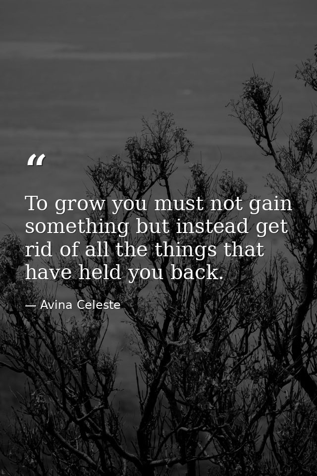 To grow you must not gain something but instead get rid of all the things that have held you back. — Avina Celeste
