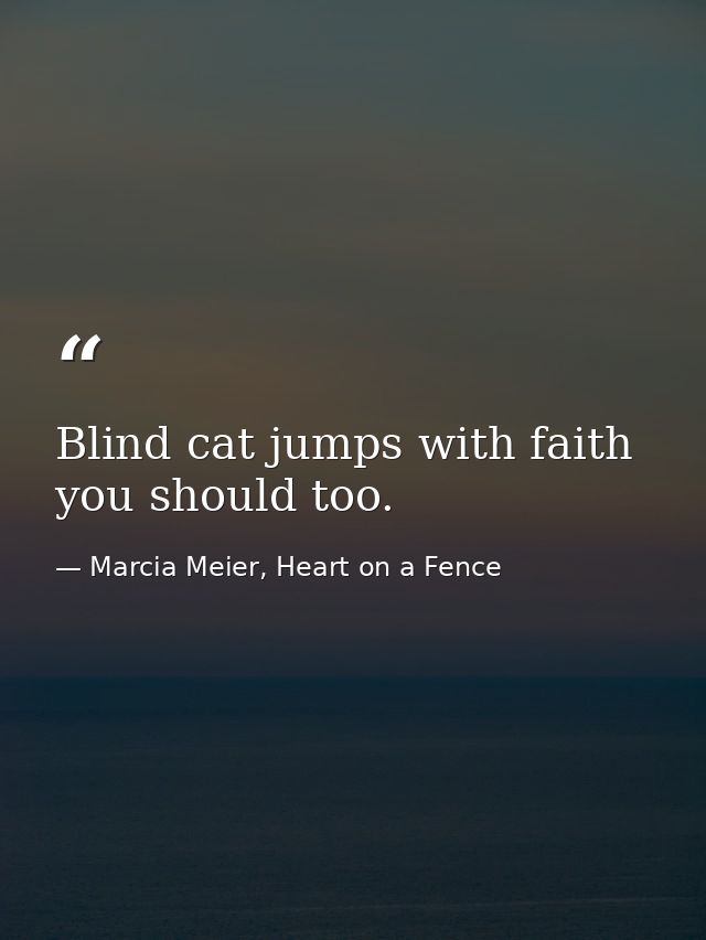 Blind cat jumps with faith you should too. — Marcia Meier, Heart on a Fence