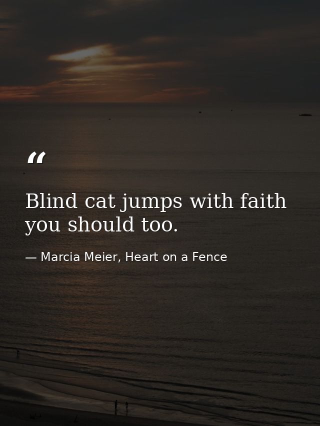 Blind cat jumps with faith you should too. — Marcia Meier, Heart on a Fence