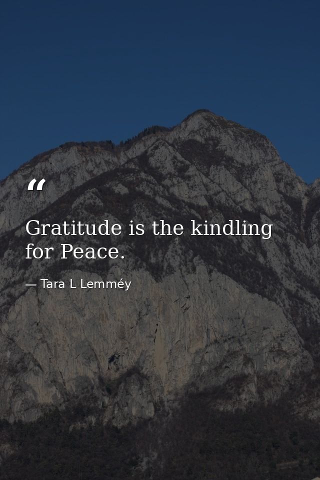 Gratitude is the kindling for Peace. — Tara L Lemméy