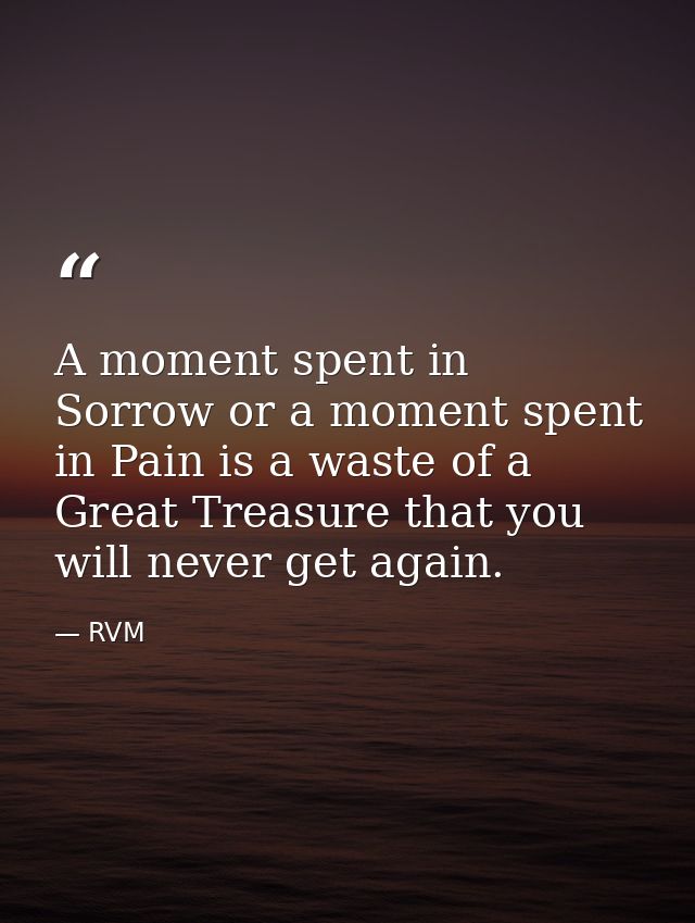 A moment spent in Sorrow or a moment spent in Pain is a waste of a Great Treasure that you will never get again. — RVM