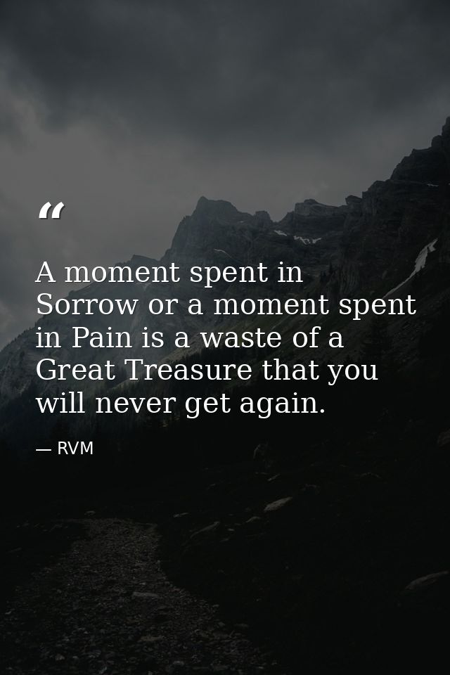 A moment spent in Sorrow or a moment spent in Pain is a waste of a Great Treasure that you will never get again. — RVM