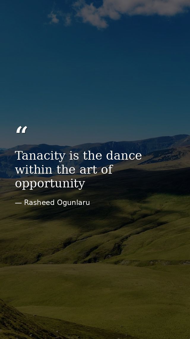 Tanacity is the dance within the art of opportunity — Rasheed Ogunlaru