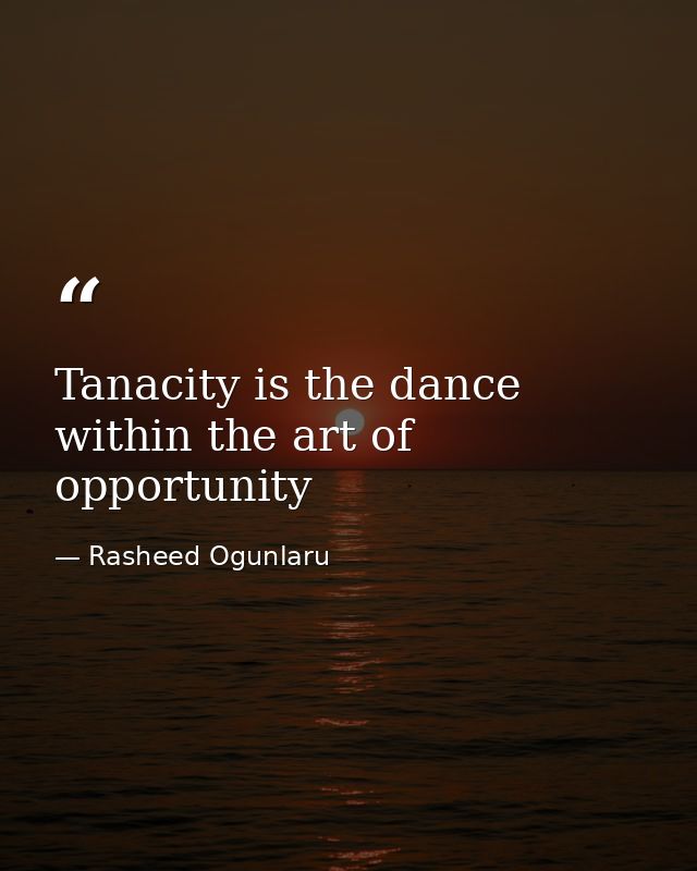 Tanacity is the dance within the art of opportunity — Rasheed Ogunlaru