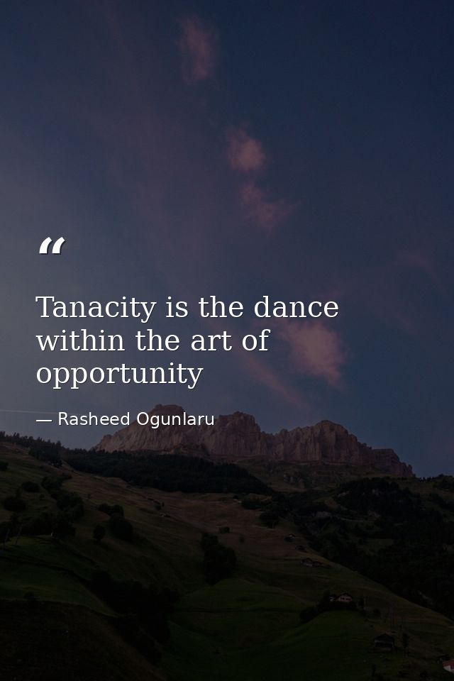 Tanacity is the dance within the art of opportunity — Rasheed Ogunlaru