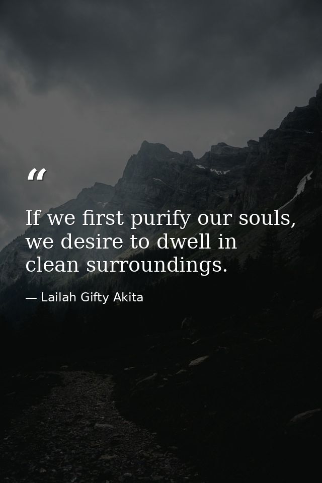 If we first purify our souls, we desire to dwell in clean surroundings. — Lailah Gifty Akita