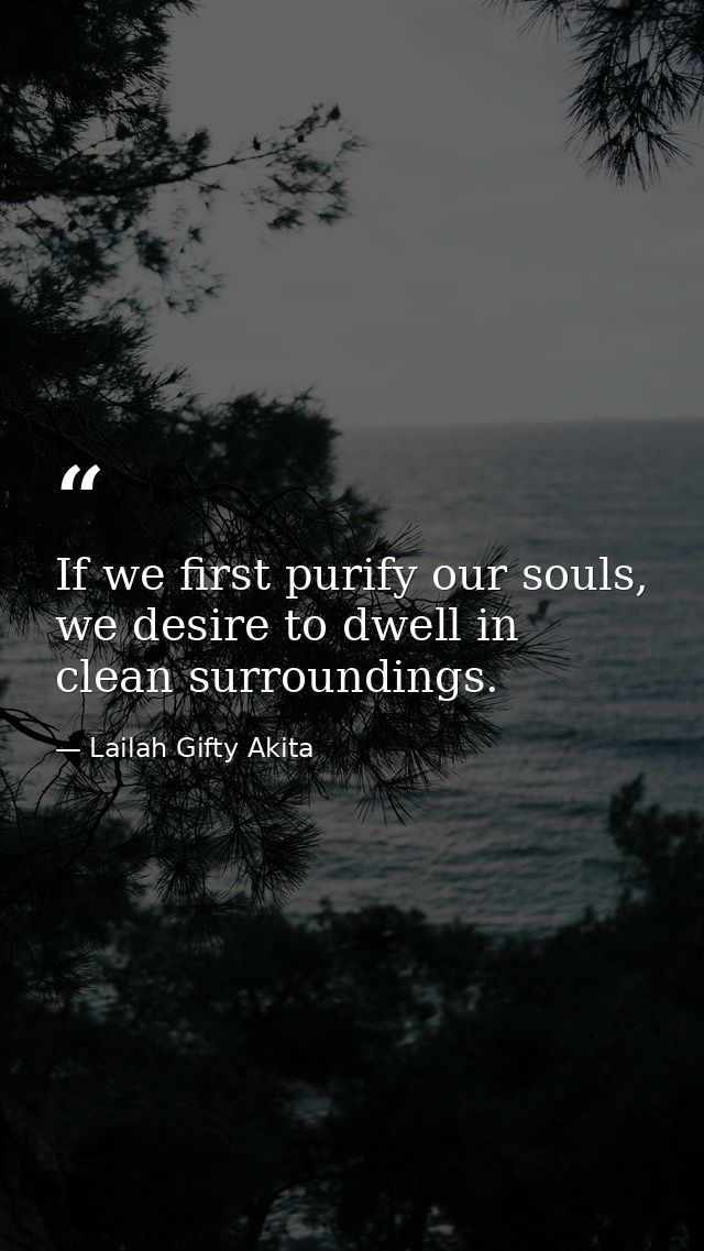 If we first purify our souls, we desire to dwell in clean surroundings. — Lailah Gifty Akita
