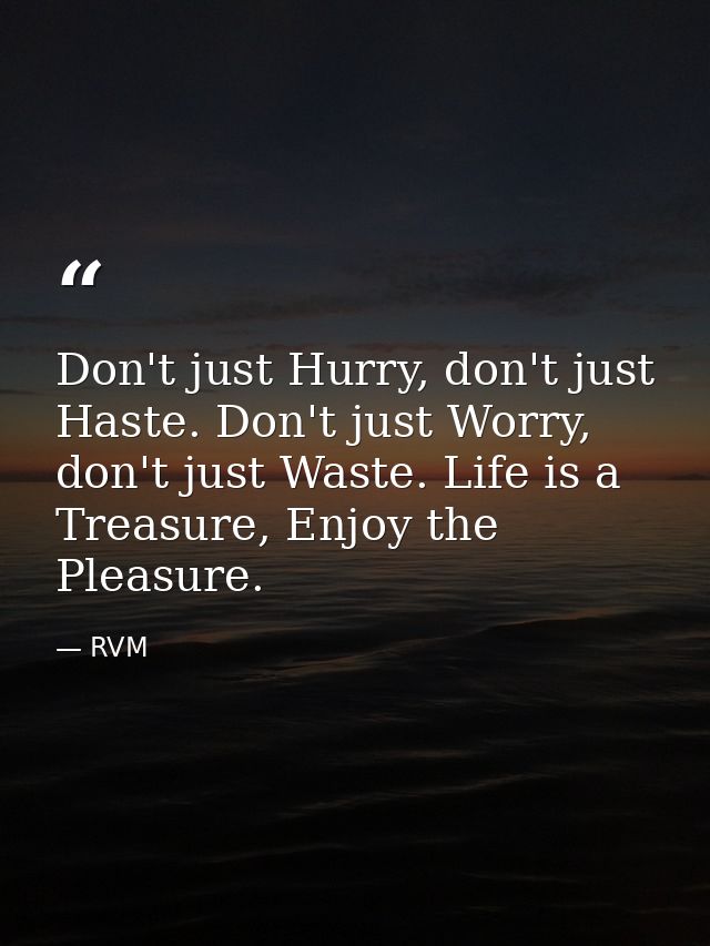 Don't just Hurry, don't just Haste. Don't just Worry, don't just Waste. Life is a Treasure, Enjoy the Pleasure. — RVM