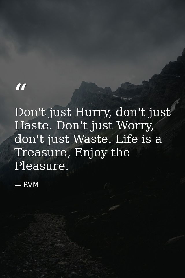 Don't just Hurry, don't just Haste. Don't just Worry, don't just Waste. Life is a Treasure, Enjoy the Pleasure. — RVM