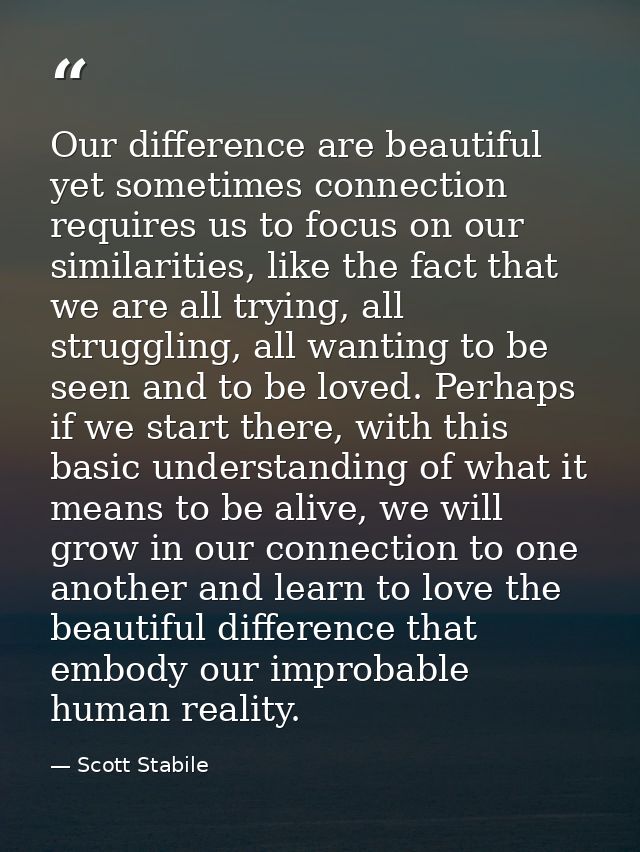 Our difference are beautiful yet sometimes connection requires us to focus on our similarities, like the fact that we ar — Scott Stabile