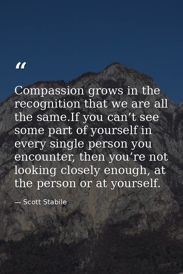 Compassion grows in the recognition that we are all the same.If you can’t see some part of yourself in every single pers — Scott Stabile