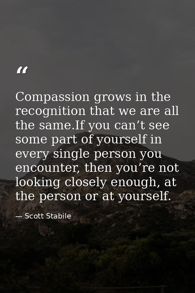 Compassion grows in the recognition that we are all the same.If you can’t see some part of yourself in every single pers — Scott Stabile
