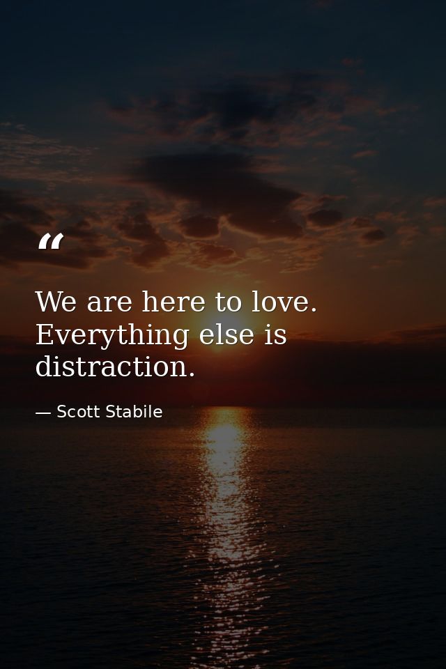 We are here to love. Everything else is distraction. — Scott Stabile