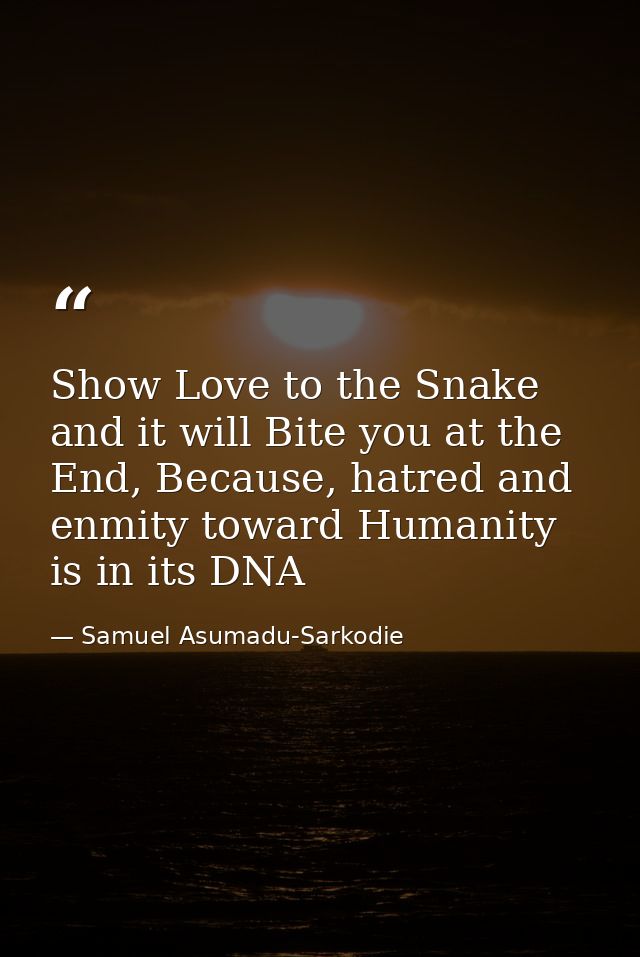 Show Love to the Snake and it will Bite you at the End, Because, hatred and enmity toward Humanity is in its DNA — Samuel Asumadu-Sarkodie