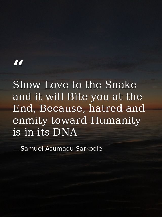 Show Love to the Snake and it will Bite you at the End, Because, hatred and enmity toward Humanity is in its DNA — Samuel Asumadu-Sarkodie