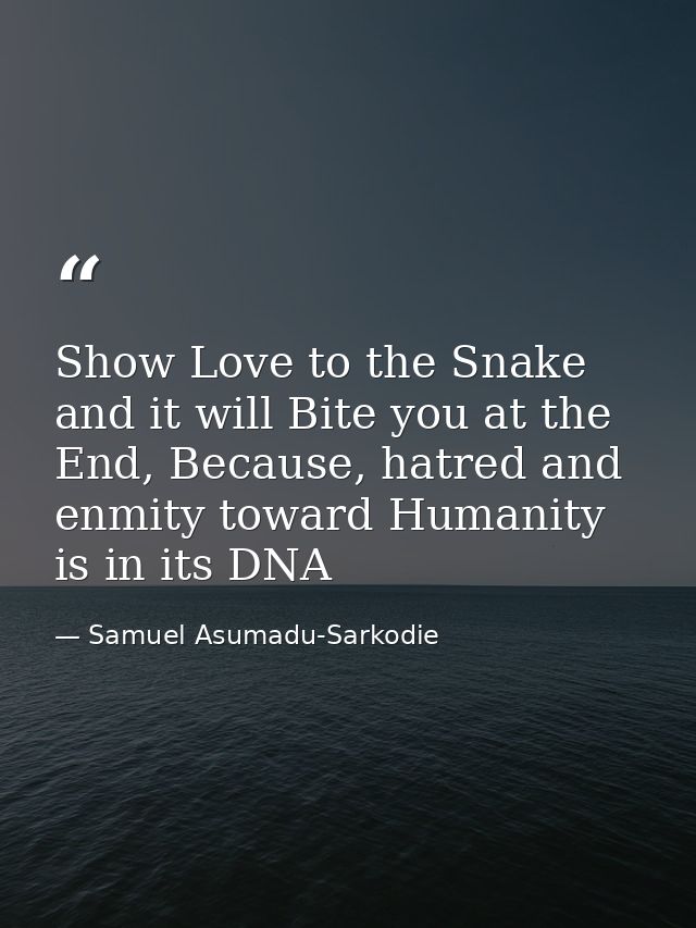 Show Love to the Snake and it will Bite you at the End, Because, hatred and enmity toward Humanity is in its DNA — Samuel Asumadu-Sarkodie