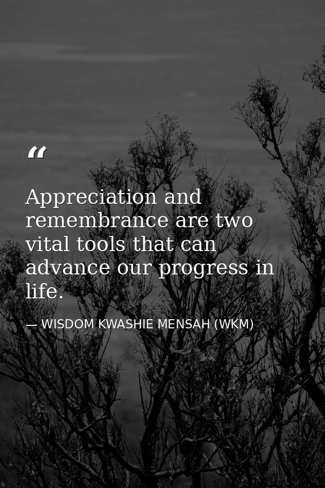 Appreciation and remembrance are two vital tools that can advance our progress in life. — WISDOM KWASHIE MENSAH (WKM)